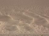 Great Sand Dunes 029